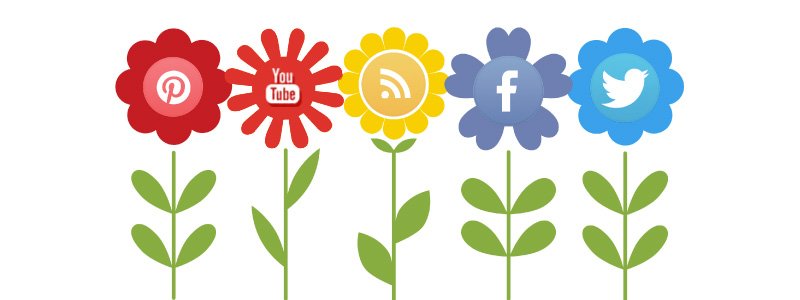 Why Social Media is so Important for Your Business